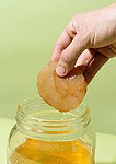 KoRo - Bio Kombucha Scoby