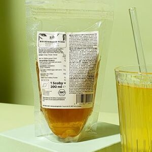 KoRo - Bio Kombucha Scoby