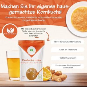 Natural Probio® Original Kombucha Scoby – Starter Kit
