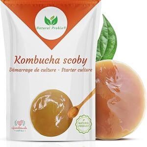 Natural Probio® Original Kombucha Scoby - Starter Kit
