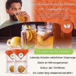 Natural Probio® Original Kombucha Scoby - Starter Kit