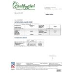 Natural Probio® Original Kombucha Scoby - Starter Kit