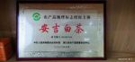 TOPONE AnJi Baicha Weißtee Bio-Grüntee - 60g