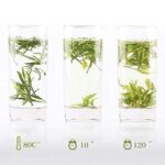 TOPONE AnJi Baicha Weißtee Bio-Grüntee - 60g