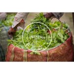 Twinings Earl Grey Schwarzer Tee, 500g