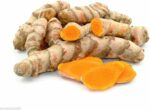 5 x 100g Frischer Kurkuma - Pamai Pai®