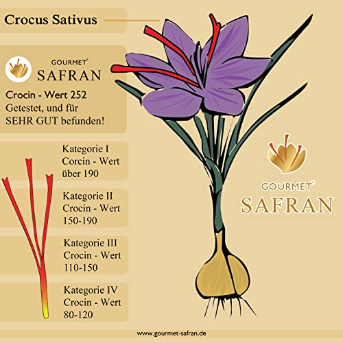 5g afghanischer Gourmet Safran Spitzenkategorie