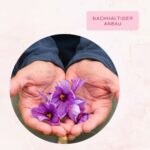 Safranwunder 5g Premium Safranfäden Klasse 1