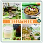 Azafran BIO Grüner Kardamom 100g