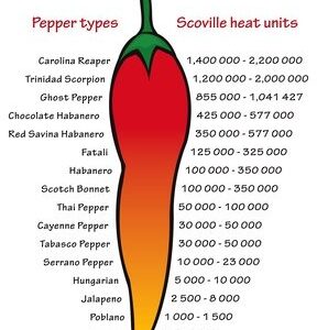 Azafran Habanero Chili Pulver 100g