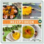 Azafran Safranfäden 1g für Paella, Risotto