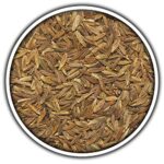 BenCondito Ganzer Kreuzkümmel 70 Gr. Dose