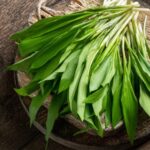 Alpi nature Bio Bärlauchblätter aus kontrolliertem Anbau (125g)