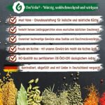 BIO Curryblätter 50g | Getrocknet | DE-ÖKO-039 | OmVeda