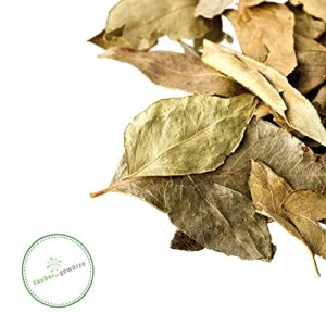 Bio Curryblätter, Indisches Gewürz, 100% Bio-Qualität