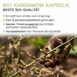 BIO Grüner Kardamom ganz, handverlesen, 100g