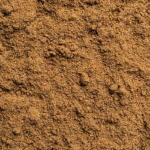 Bio Koriander gemahlen 250g – Biotiva Deutschland