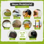 BIO Koriandersamen ganz getrocknet (500g)