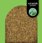 Alpi Nature BIO Kreuzkümmel ganz (250g), Rohkostqualität