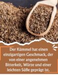 BIO Kümmel 200g | DE-ÖKO-039 | OmVeda Gewürze