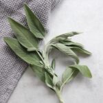 Bio Salbeitee von Alpi Nature