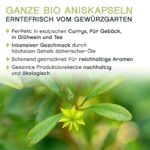 Pfefferdieb BIO Sternanis ganz, Premium Qualität, 50g