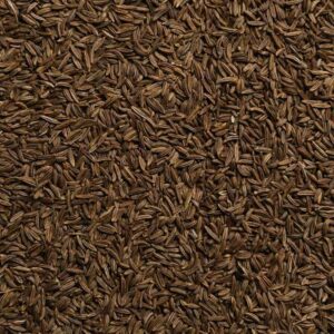 Biotiva Kümmel Bio 250g – Premiumqualität, Deutschland