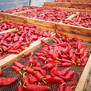Boomers Gourmet Espelette Chilipulver 50g