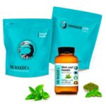DR WAKDE'S Minzblattpulver - Rein & Vegan