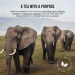 Edward Fields Tee ® - Bio Roter Pu Erh Tee, Yunnan China