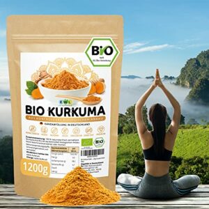 EWL Bio Kurkuma Pulver 1200g XXL Vorteilspack