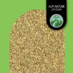Alpi Nature Fenchelsamen ganz, 500g, 100% naturrein