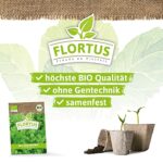 FLORTUS BIO Koriander Kräutersamen für Garten