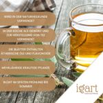 IGART Getrocknete Salbeiblätter, 100g, 100% natürlich