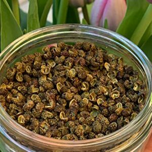 Grüner Szechuanpfeffer 50g – Premium Qualität