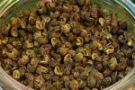 Grüner Szechuanpfeffer 50g - Premium Qualität