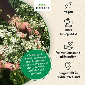 Herbaria Bio Kümmelsamen 70g M-Dose