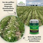 Herbaria Bio Kümmelsamen 70g M-Dose