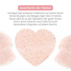 Himalaya Rosa Kristallsalz 900g