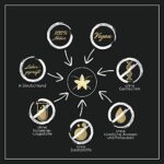 Inter Vanilla BIO Bourbon Vanilleschoten Premium aus Madagaskar