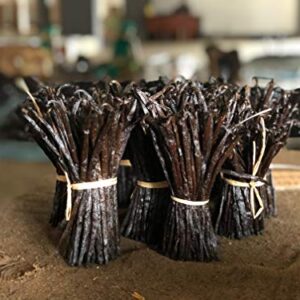 Inter Vanilla BIO Bourbon Vanilleschoten Premium aus Madagaskar