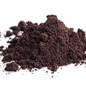 InterVanilla Natürliches Vanillepulver 50g Premium