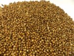 Koriander ganz Naturideen® 100g