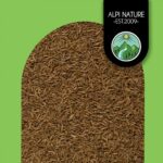 Kümmel ganz 500g - 100% naturrein, vegan