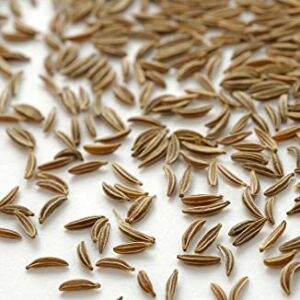 Lebensbaum Bio-Kümmel, ganz, 50g