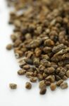 Lebensbaum Kardamom ganz, Bio, 3er Pack