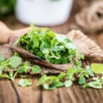 Vom Achterhof Majoran Gewürz natürlich, 500g