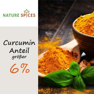 NATURE SPICES® Kurkuma Pulver 100g – Superfood