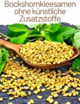 OmVeda Bockshornkleesamen Bio 200g