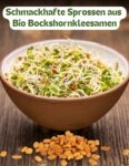 OmVeda Bockshornkleesamen Bio 200g